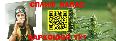 mdpv Гусев