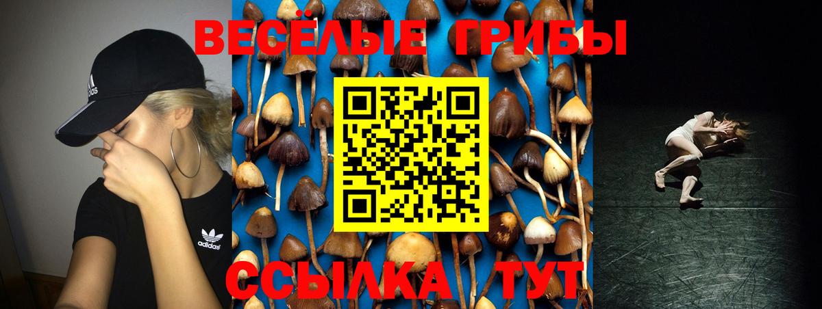 Псилоцибиновые грибы прущие грибы  Вход с VPN  как найти закладки  Жуковский 